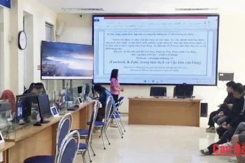 5.938 lao động được tư vấn việc làm