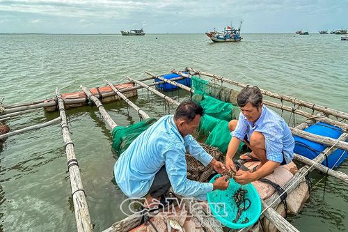 Bảo vệ người dân trước thiên tai