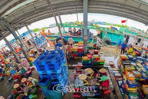 Nhật ký điện tử đồng hành gỡ thẻ vàng của EC