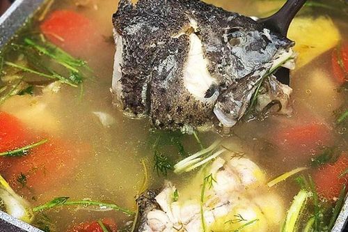 Loại cá được ví như 'gà biển', thịt dày ít xương, giàu protein, mùa thu ăn ngon lại bổ dưỡng