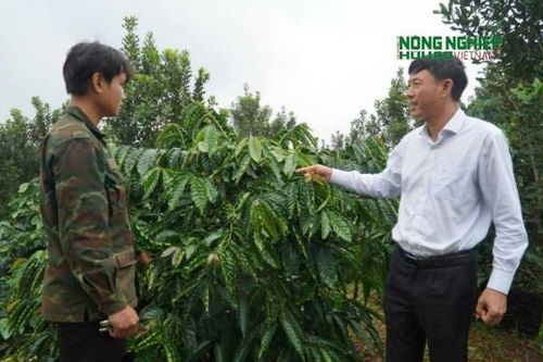 Người nông dân Quảng Trực vững vàng nơi phên dậu Tổ quốc