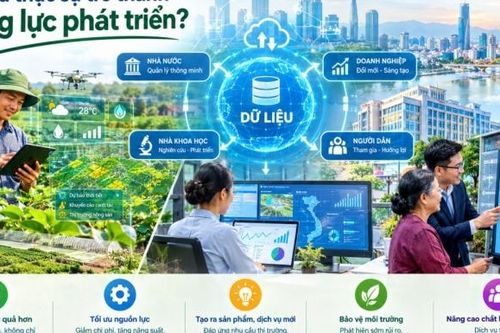 Làm thế nào để dữ liệu thực sự trở thành động lực phát triển?