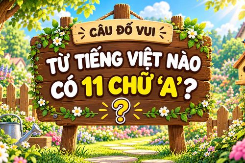 Nghĩ mãi không ra: Từ tiếng Việt nào có 11 chữ 'A'?