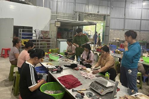 Lạng Sơn phát hiện hơn 5 tấn chân gà không rõ nguồn gốc
