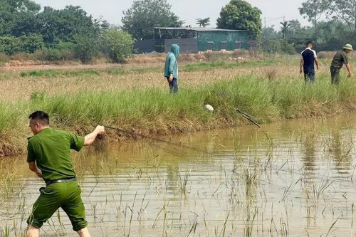 Công an xã Kiều Phú phát hiện, thu giữ dụng cụ bẫy chim hoang dã