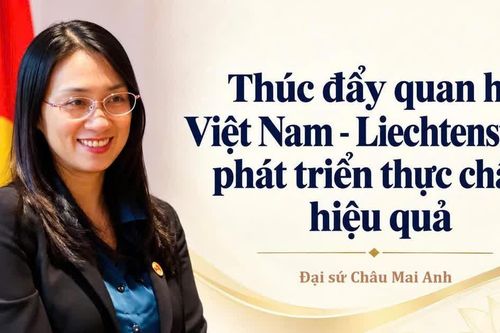 Thúc đẩy quan hệ Việt Nam - Liechtenstein phát triển thực chất, hiệu quả