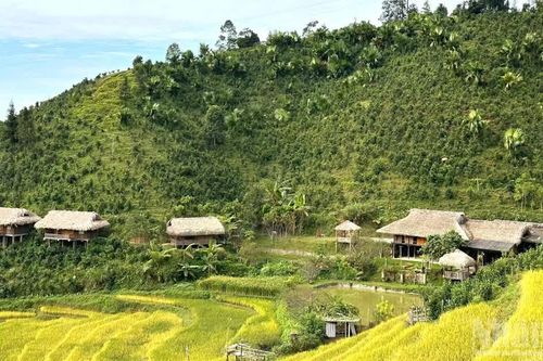 Không gian quảng bá, kết nối sản phẩm OCOP gắn với du lịch cấp vùng tại tỉnh Lào Cai năm 2026