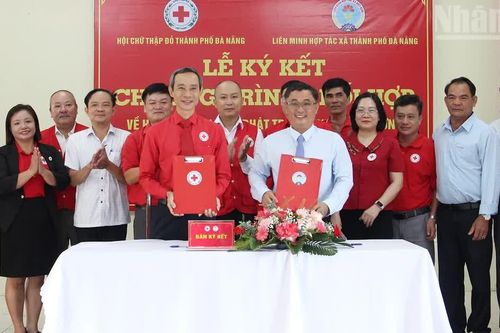 Đà Nẵng: Phối hợp giúp người khó khăn phát triển sinh kế bền vững