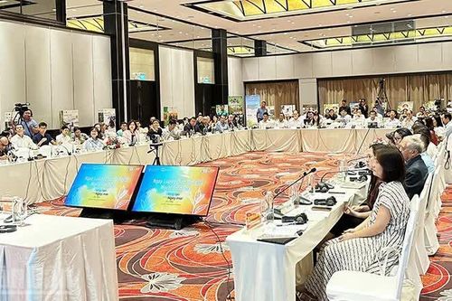 Tăng cường triển khai Đề án phát triển một triệu ha lúa chất lượng cao, phát thải thấp