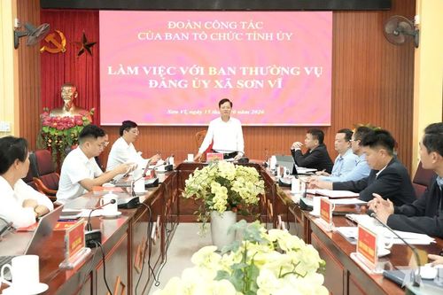 Trưởng Ban Tổ chức Tỉnh ủy Tuyên Quang làm việc tại xã biên giới Sơn Vĩ