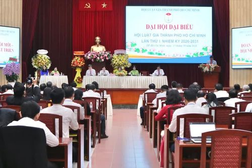 Phát huy vai trò luật gia trong tháo gỡ vướng mắc về cơ chế, chính sách