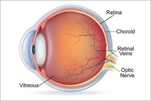 Khám phá cơ chế tự làm sạch chưa từng biết đến của đôi mắt