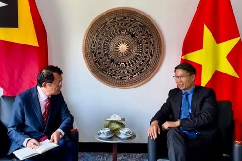 Đại sứ Phạm Bình Đàm: Nhiều kinh nghiệm cải cách bộ máy của Việt Nam phù hợp để Timor-Leste tham khảo
