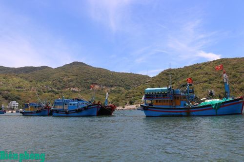 Bộ Nông nghiệp và Môi trường yêu cầu siết chặt quản lý đội tàu cá, kiểm soát nguồn gốc thủy sản khai thác