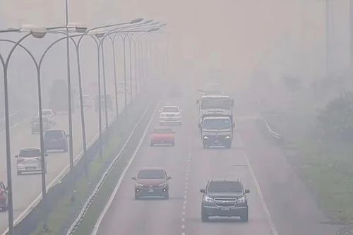 Indonesia xác định hàng trăm nghi phạm trong vụ cháy rừng gây khói mù nghiêm trọng