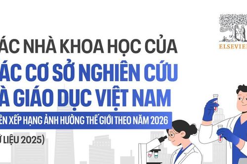 Các nhà khoa học Việt Nam trên bảng xếp hạng ảnh hưởng thế giới năm 2026