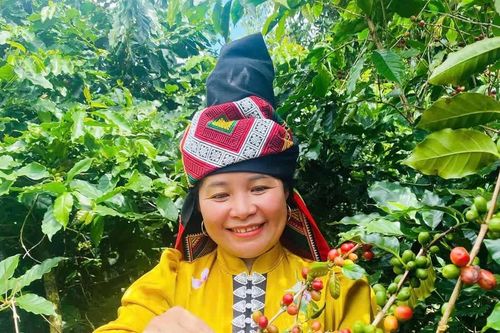 Khuyến công đang góp phần giúp nông thôn Sơn La bứt phá
