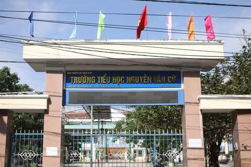 Gia Lai làm rõ vì sao 3 nguyên hiệu trưởng xuống làm giáo viên?