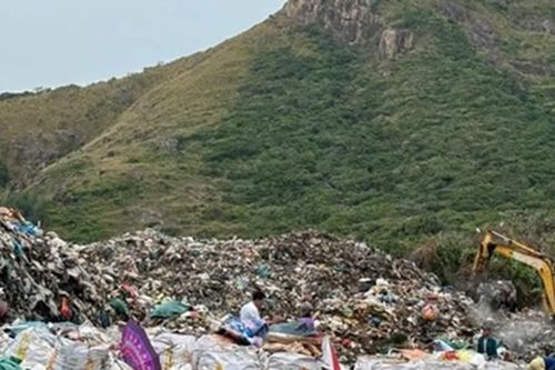 Bãi bỏ quyết định chuyển 1,92 ha rừng Côn Đảo làm nhà máy xử lý rác