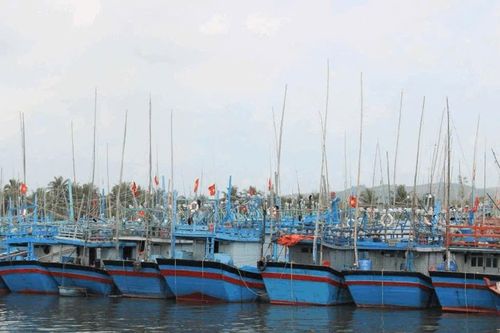 Gia Lai siết quản lý đội tàu, ngăn chặn vi phạm khai thác IUU