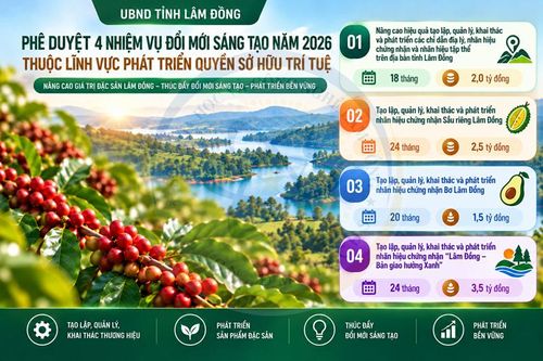Lâm Đồng phê duyệt danh mục 4 nhiệm vụ 'đổi mới sáng tạo'
