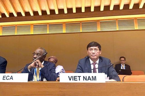 Việt Nam nêu 4 nguyên tắc trong xây dựng khuôn khổ hợp tác thuế quốc tế
