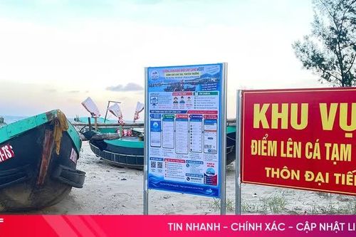 Tỷ lệ tàu cá thực hiện thủ tục eCDT trên địa bàn Hà Tĩnh tăng nhanh