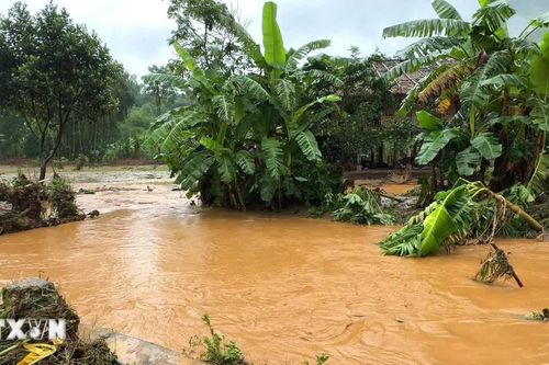 Lâm Đồng: Một phụ nữ mất tích do lũ cuốn khi đi thăm vườn sầu riêng