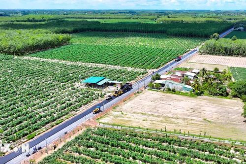Khánh Hòa định hướng phát triển kinh tế tập thể theo hướng hiệu quả, bền vững