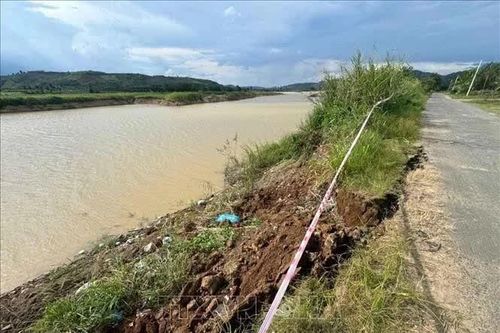 Chưa xử lý tận gốc việc người dân liên tục mất đất canh tác