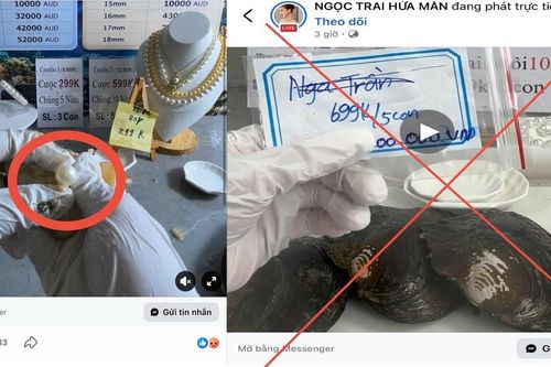 Cảnh báo thủ đoạn lừa đảo qua livestream 'mở ngọc trai'