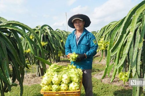 Gắn kết thương mại với du lịch biển ở Lâm Đồng, mở lối ra cho đặc sản địa phương