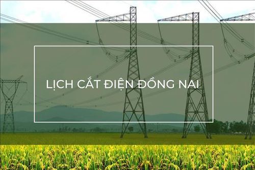Lịch cắt điện Đồng Nai ngày mai 16/10 cập nhật mới nhất