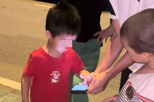 Đưa con trai 5 tuổi đi leo núi, 3 giờ sau xảy ra chuyện khiến người mẹ hoảng loạn