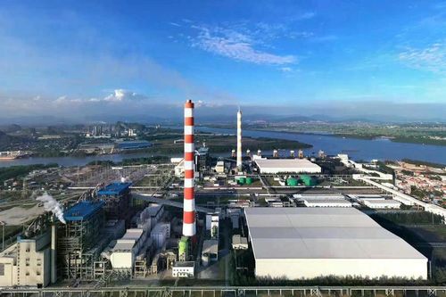 Nhiệt điện Hải Phòng dồn dập biến động ở thượng tầng
