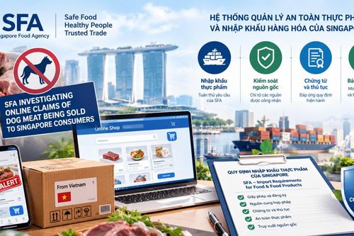 Từ vụ việc Singapore điều tra bán thịt chó trên mạng xã hội, doanh nghiệp Việt cần làm gì để tránh bị xử phạt?