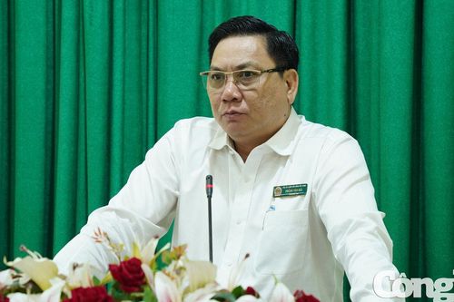 TAND Tây Ninh đặt mục tiêu số hóa hồ sơ bản án trước 30/6/2027