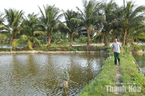 Cần tháo gỡ khó khăn trong quản lý, sử dụng đất công ích
