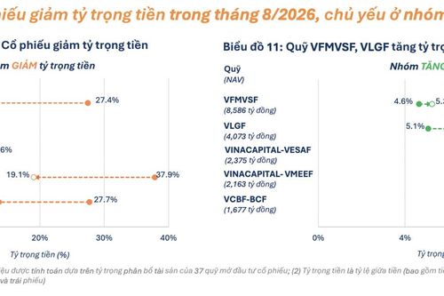 21 quỹ mở cổ phiếu đẩy mạnh giải ngân, chủ yếu thuộc nhóm quy mô nhỏ