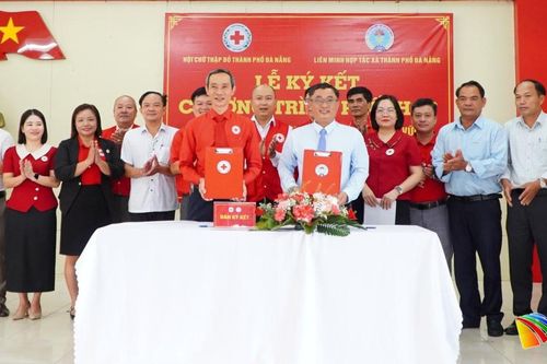 Phối hợp hỗ trợ nhân đạo, phát triển sinh kế bền vững gắn với kinh tế tập thể