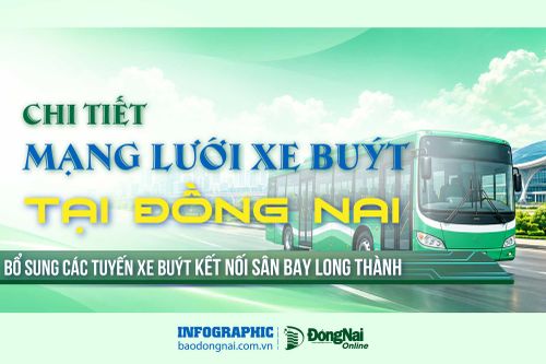 [Infographic] Chi tiết mạng lưới xe buýt tại Đồng Nai, bổ sung các tuyến xe buýt kết nối Sân bay Long Thành