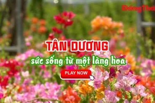 TÂN DƯƠNG - SỨC SỐNG TỪ MỘT LÀNG HOA