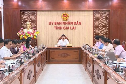 Gia Lai: Dư nợ tín dụng chính sách gần 18.250 tỷ đồng