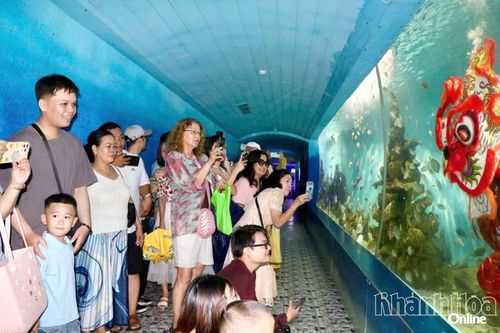 Bảo tàng Hải dương học: Đưa khoa học biển đến gần công chúng