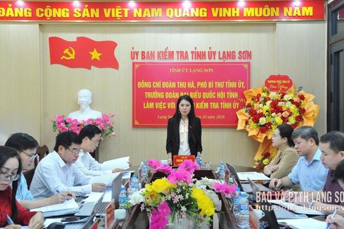 Đồng chí Phó Bí thư Tỉnh ủy làm việc với Ủy ban Kiểm tra Tỉnh ủy