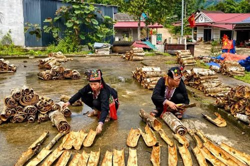 Đưa nghị quyết vào cuộc sống từ lợi thế địa phương