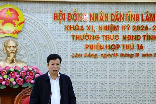 Lâm Đồng xem xét nhiệm vụ phát triển năm 2027 và nhiều chính sách mới