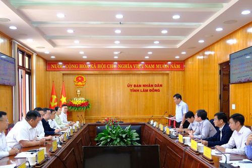 Lâm Đồng trao đổi định hướng hợp tác phát triển năng lượng tái tạo
