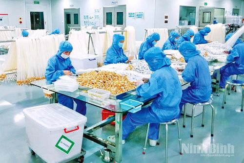 Xuất khẩu tăng trưởng mạnh, tạo đà hoàn thành mục tiêu năm 2026