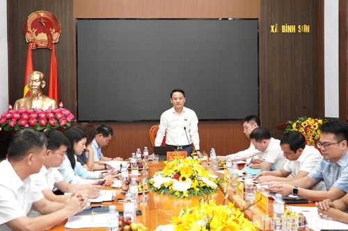 Đoàn đại biểu Quốc hội tỉnh khảo sát tình tình thực hiện nhiệm vụ phát triển kinh tế - xã hội năm 2026 tại xã Bình Sơn